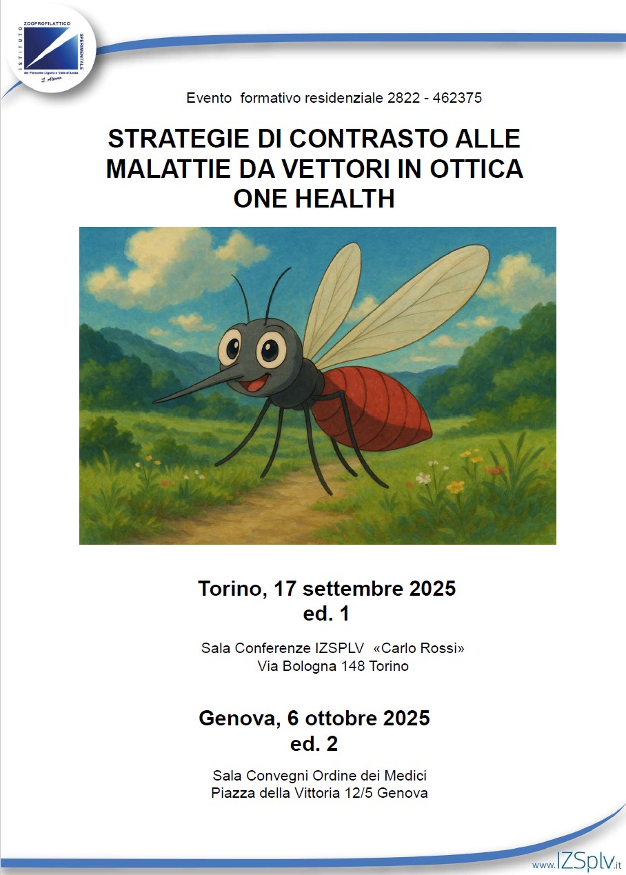 Strategie di contrasto 6 ottobre Strategie di contrasto 6 ottobre